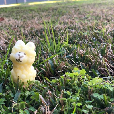 6 P.M. In Houston - Single