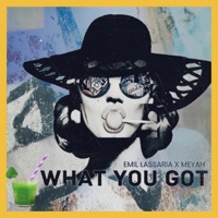 What You Got - Single - Emil Lassaria & Meyah