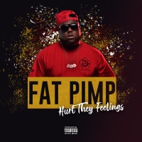 Hurt They Feelings - Single - Fat Pimp