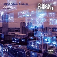 Aeryals (Ram Extended Remix) - Single - Steve Dekay & HMBL