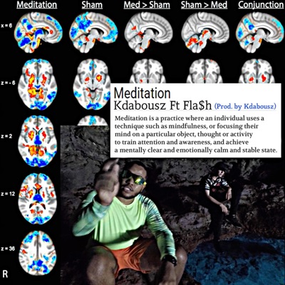 Meditation (feat. Fla$h) - Single