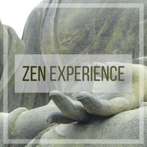 Zen Experience - Out of Body Awakening & Lucid Dreaming