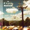 Rainbow Neon Trees - Shady Monk lyrics