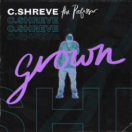 All That I Feel (feat. Pat Junior) C.Shreve the Professor