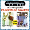 Los Cadetes De Linares - Un Viejo Amor (feat. Homero Guerrero y Lupe Tijerina)