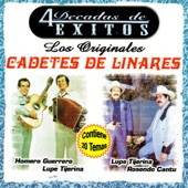 Los Cadetes De Linares - Un Viejo Amor