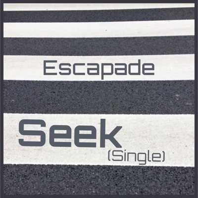Seek - Single