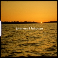 Det Dummaste Man Gjort (feat. Carolina Miskovsky) - Single - Johannes & Farkosten