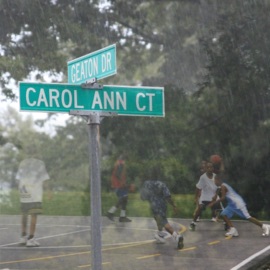 Carol Ann Court Marc iLL