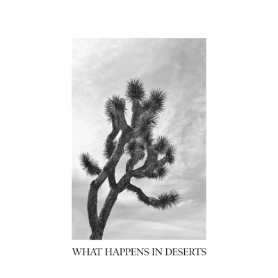 What Happens in Deserts - EP