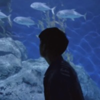 ธันวาคม - Single - QLER