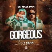 Gorgeous (feat. T-sean) - Single - Davies sounds