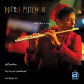 Nicole Mitchell - Journey on a Thread