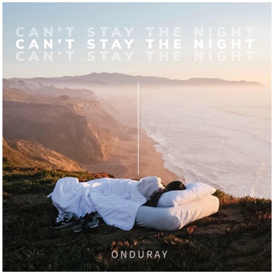 Can't Stay the Night - Single