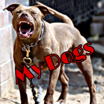 My Dogs - Single