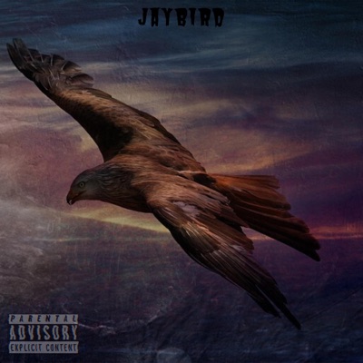 Bird Storm - EP