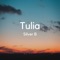 Tulia - Silver B lyrics