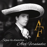 Sigue la Dinastía - Alex Fernández