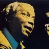 Nelson Cavaquinho