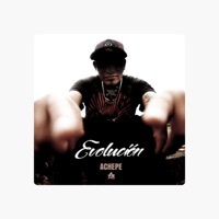 Evolución - Achepe