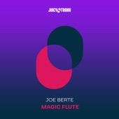 Magic Flute (Extended Mix) artwork