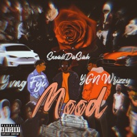 Mood (feat. Yvng Fiji & YGN Wrizzy) - Single - SneakDaSiah