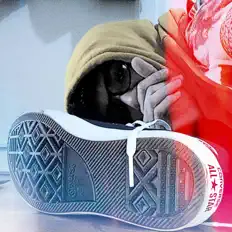 Ακούστε περιεχόμενο από Walk2space, παρακολουθήστε μουσικά βίντεο, διαβάστε το βιογραφικό, δείτε ημερομηνίες περιοδείας, και πολλά ακόμη!