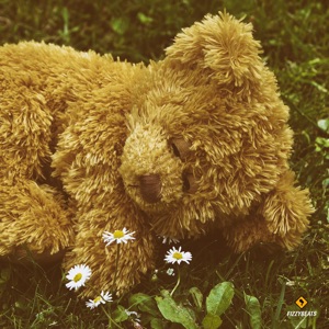 Feeling Tired - Single