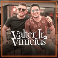 Te Amar Foi Ilusão / Coração Está em Pedaços / Agora Vai / Pagina de Amigos - Single - Valter Jr & Vinicius