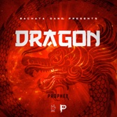 El Dragon artwork