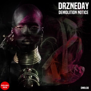 Demolition Notice - Single