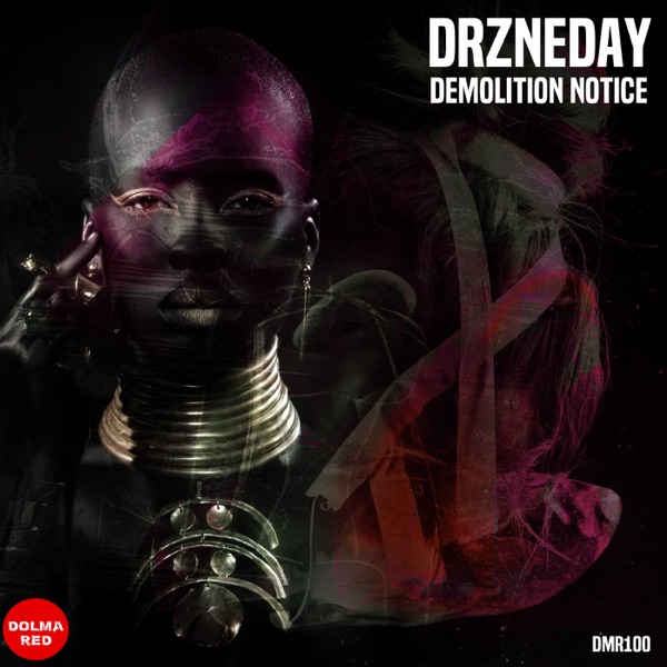 Demolition Notice - Single