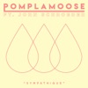 Pomplamoose