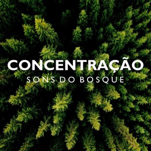 Concentração: Sons do Bosque