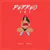 Stream & download Perreo 747 (feat. Chris G) - Single