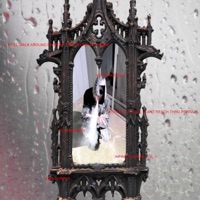 Cellardoor - Single - Vektorcrush