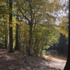 The Sounds of Serenity