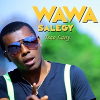 Tsao Lany - Single - Wawa Salegy