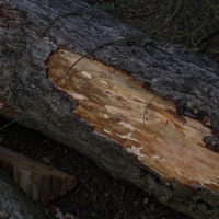 somebody else - Single - headless_DATA