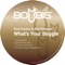 What's Your Boggle (Orlando Voorn Mix) - Paul Donton & Rob Pearson lyrics