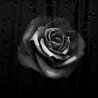 Sorrow - Single - Darth Rose