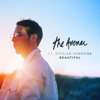 Beautiful (feat. Bipolar Sunshine) - The Avener