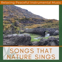 Songs that Nature Sings - Relaxing Peaceful Instrumental Music, Beautiful Celtic Music with Nature sounds - Miley Soundscapes