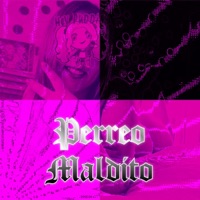 Perreo maldito (feat. Carito prins) - Single - Tok-Ziko