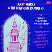 Wayfaring Stranger (feat. The Lonesome Ramblers) song art