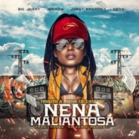 Nena Maliantosa (feat. Big Jhany, Junny Negronix & Geda Halo G) - Single - Jonrow