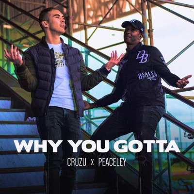 Why You Gotta (feat. Peaceley) - Single