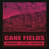 Cane Fields (feat. Wayne Marshall, Jesse Royal & Kabaka Pyramid) artwork
