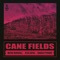 Cane Fields (feat. Wayne Marshall, Jesse Royal & Kabaka Pyramid) artwork