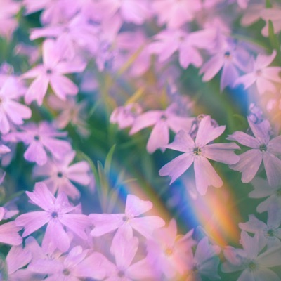 Peace of Mind - Single